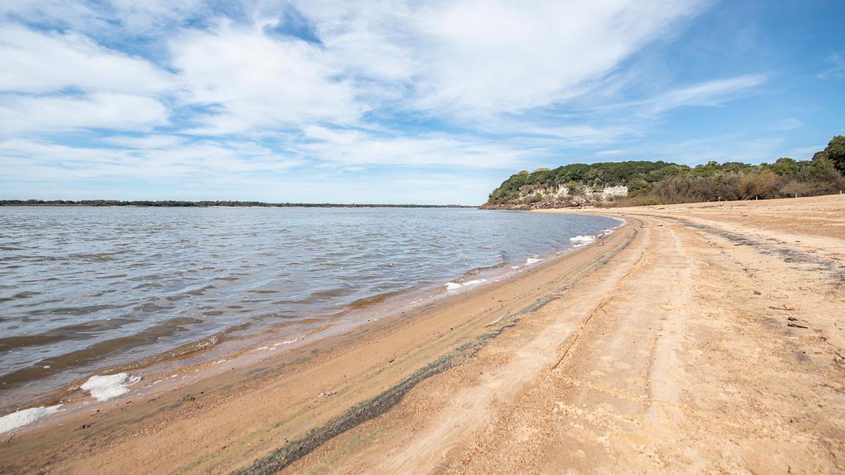 La reserva cuida a las ejemplares de yatay que llegan a vivir siete siglos y medir 18 metros de altura Foto Prensa