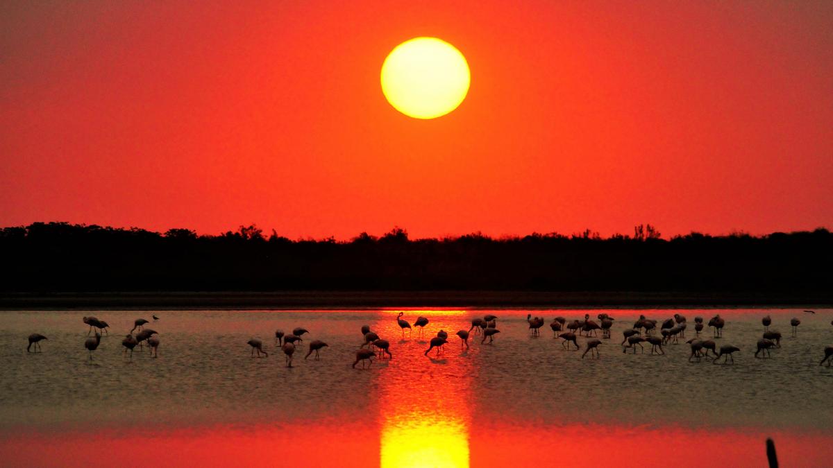 Parque Nacional de Ansenuza Foto prensa