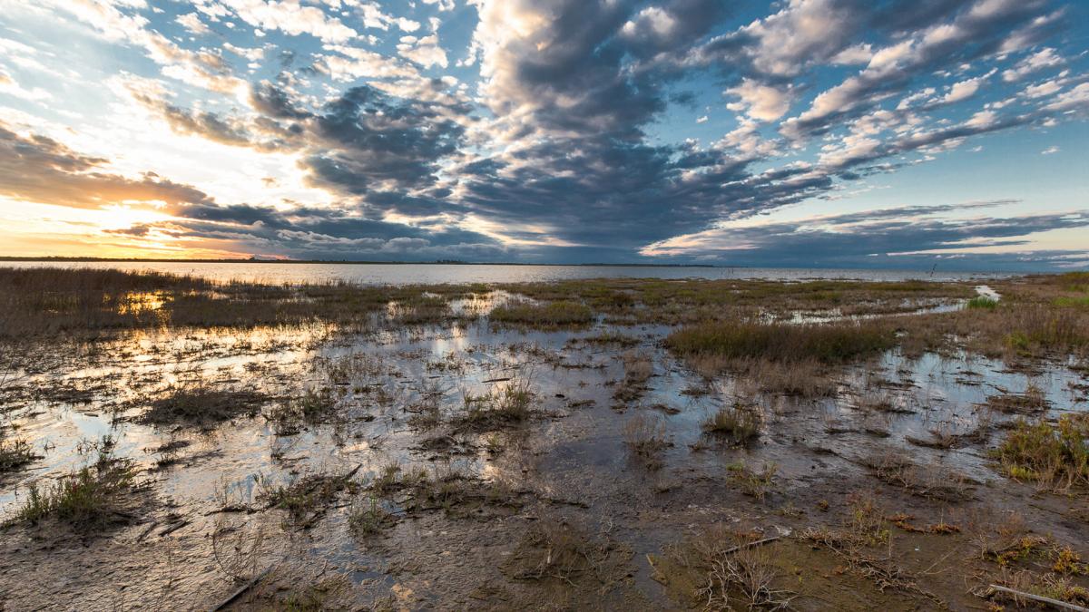 Parque Nacional de Ansenuza Foto prensa