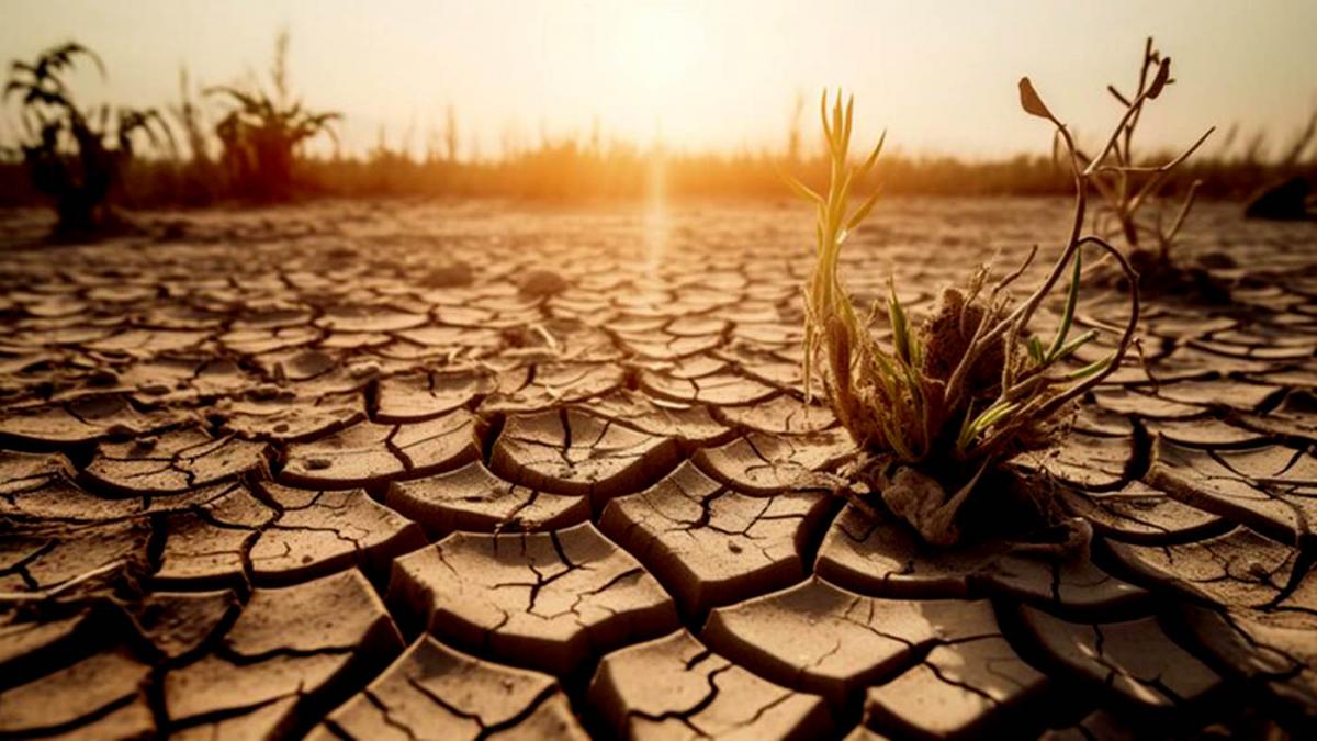 Pese al constante incremento del calentamiento en Argentina se cree que an se est a tiempo de salvar al planeta Foto Freepik