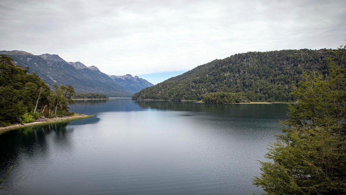 Parque Nacional Nahuel Huapi Foto Eugenia Neme