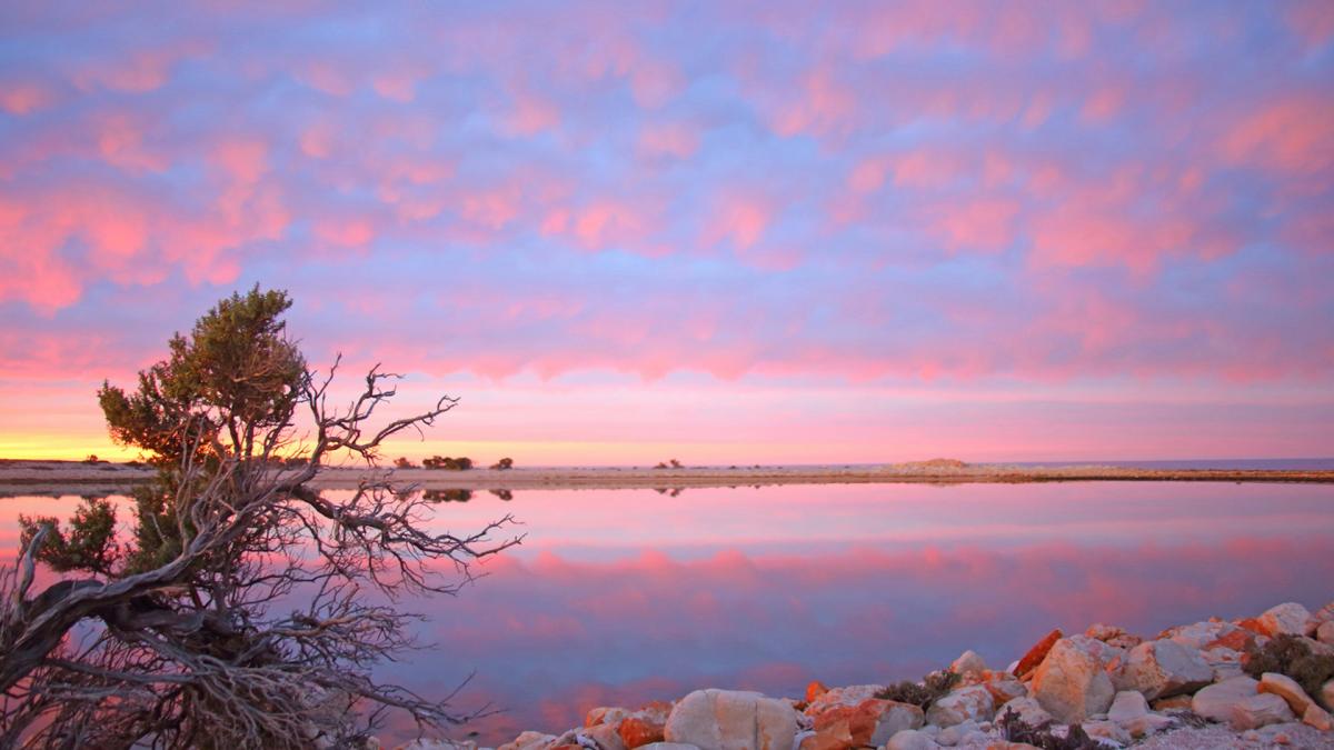 Parque Nacional de Ansenuza Foto prensa