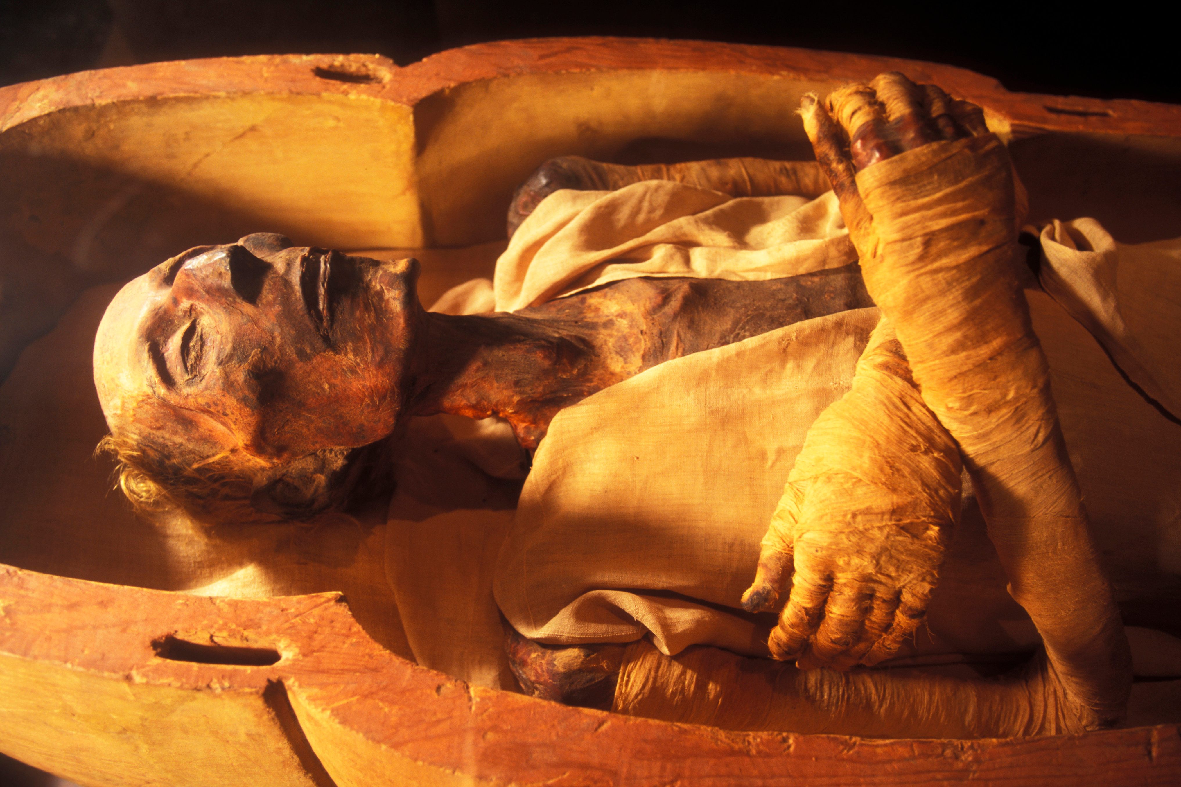 El cuerpo de Ramsés II fue encontrado con granos de pimienta en la nariz.