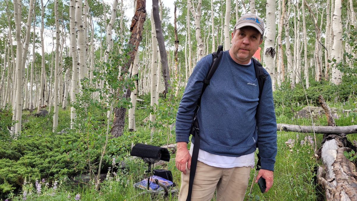 Jeff Rice escucha las raíces de los árboles usando estetoscopios y micrófonos utilizados para grabaciones bajo el agua.