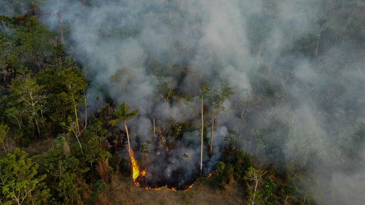 La histrica sequa que afect a millones de personas en toda la cuenca amaznica entre los meses de junio y noviembre del ao pasado favoreci a que se sucedieran enormes incendios forestales Foto AFP