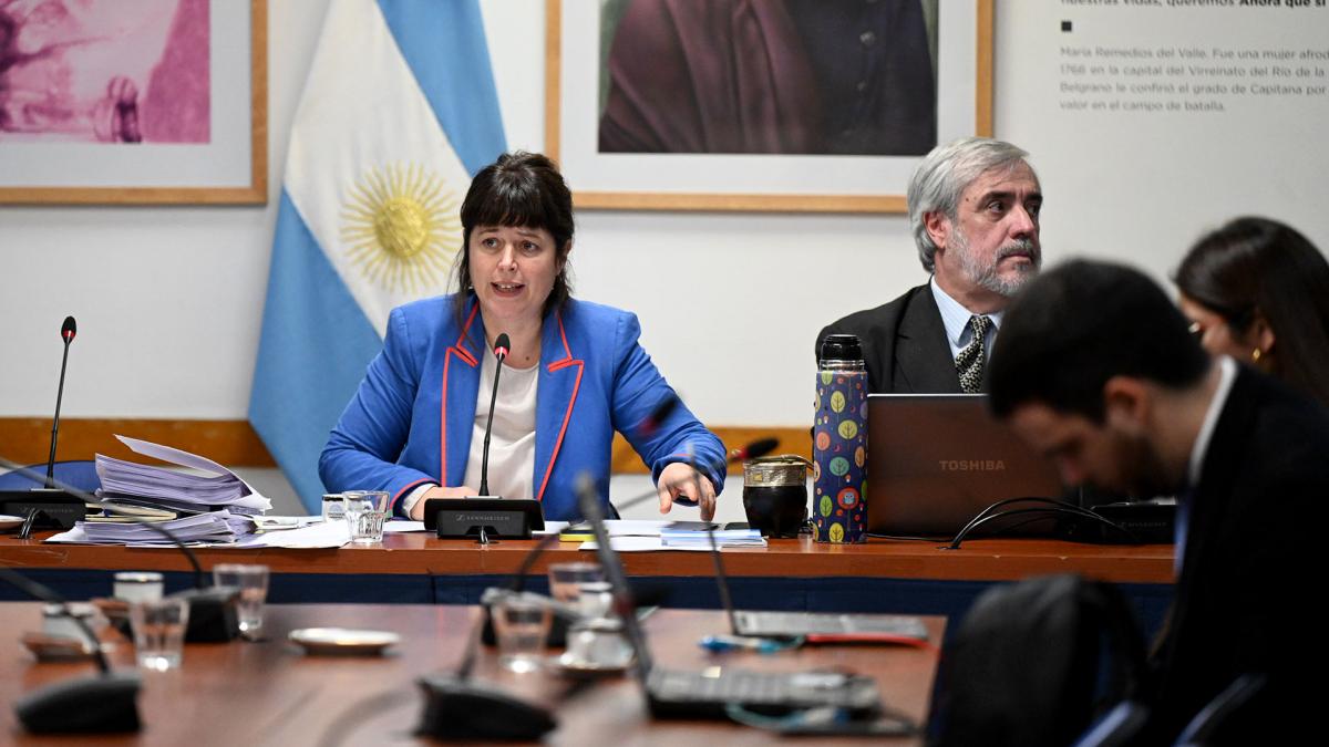 La presidenta de la comisin Carolina Gaillard Frente de Todos Foto Leo Vaca