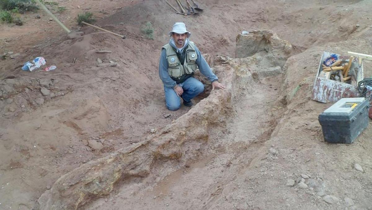 Leonardo Filippi investigador del Conicet en el Museo municipal Argentino Urquiza Foto Gentileza