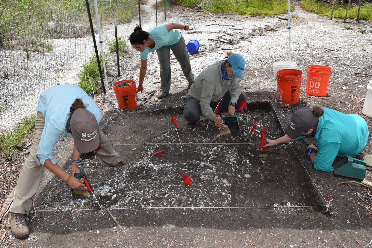 El equipo de investigación excavó restos de muros de fortificación en Mound Key.