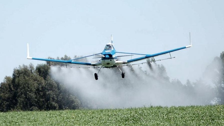 Los agrotxicos y sus consecuencias no siempre son evidentes a primera vista