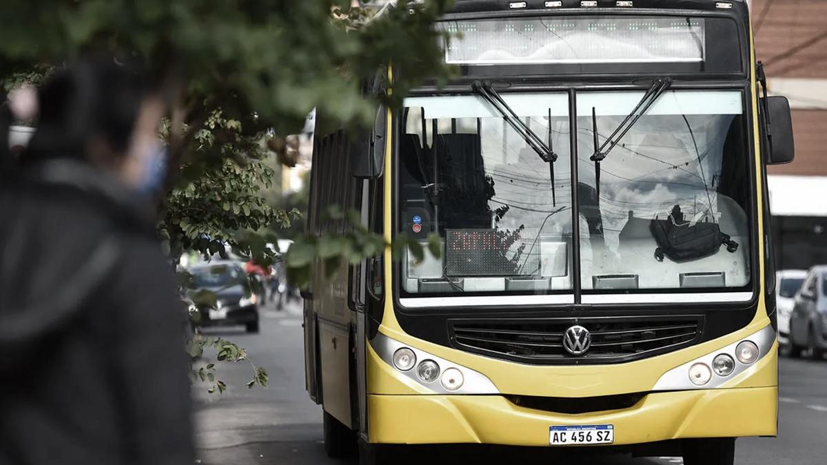 La titular de Transporte destac que las asignaciones estn establecidas por ley 