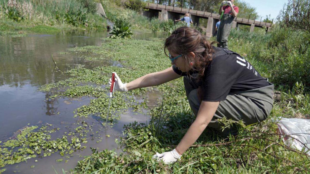 La limpieza de los mrgenes y las riberas de arroyos est dando lugar a nuevos espacios pblicos verdes Foto Archivo