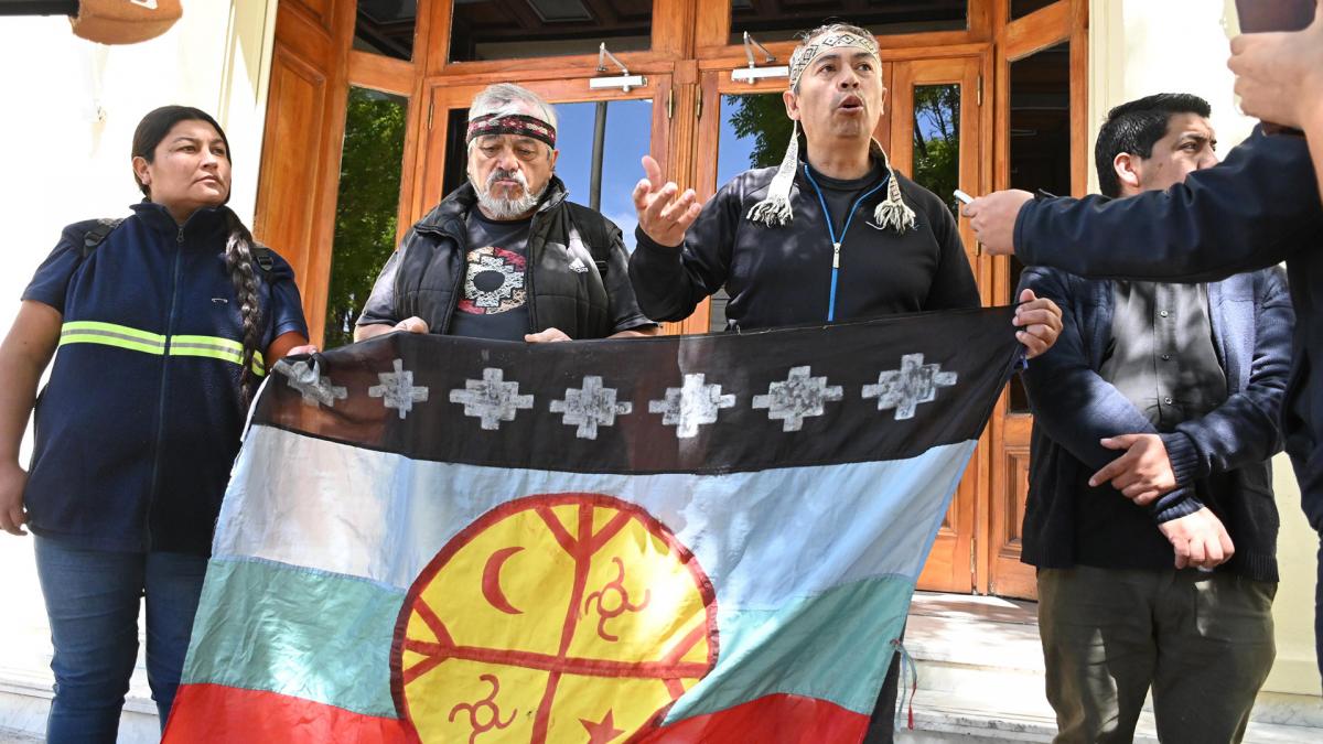 Vamos a pedir el uso de la palabra en el plenario de comisiones dijo Carriqueo Foto Marcelo Ochoa 