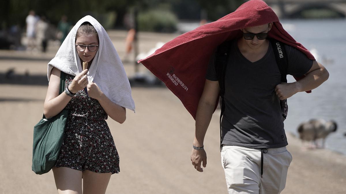 La organizacin National Trust dijo que 2023 estuvo caracterizado por extremos climticos un invierno seco y el junio ms clido registrado Foto AFP