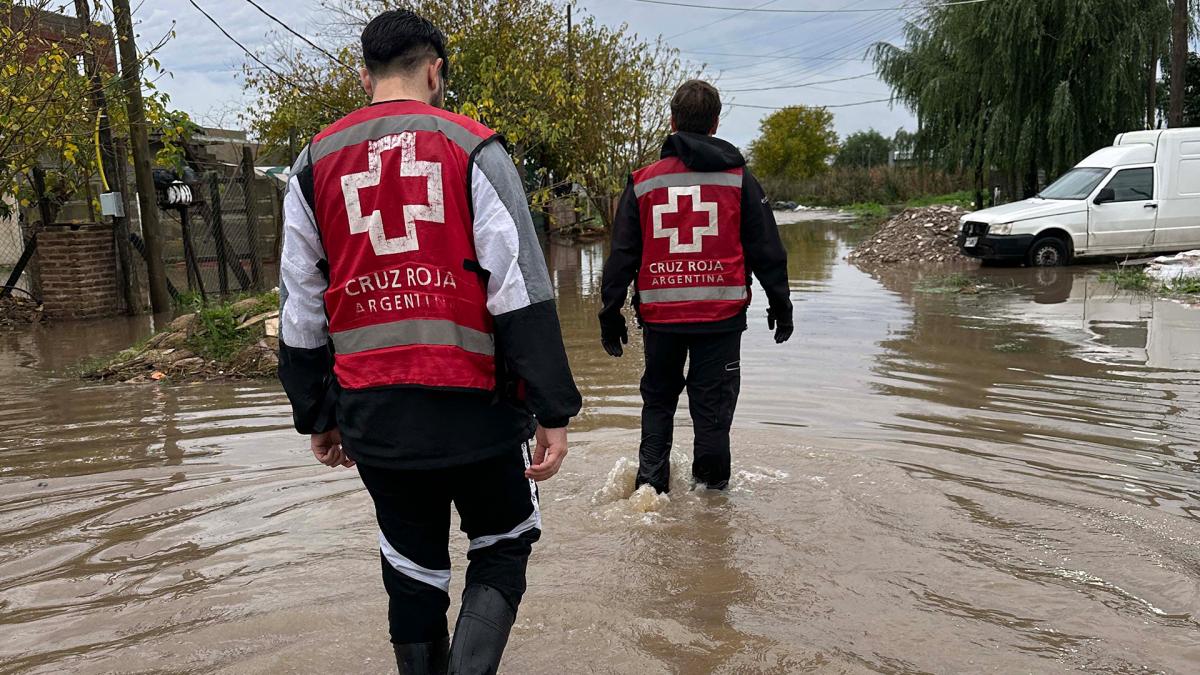 La Cruz Roja Argentina cuenta con 3000 mil empleados miles de voluntarios y 50 mil donantes Prensa CRA