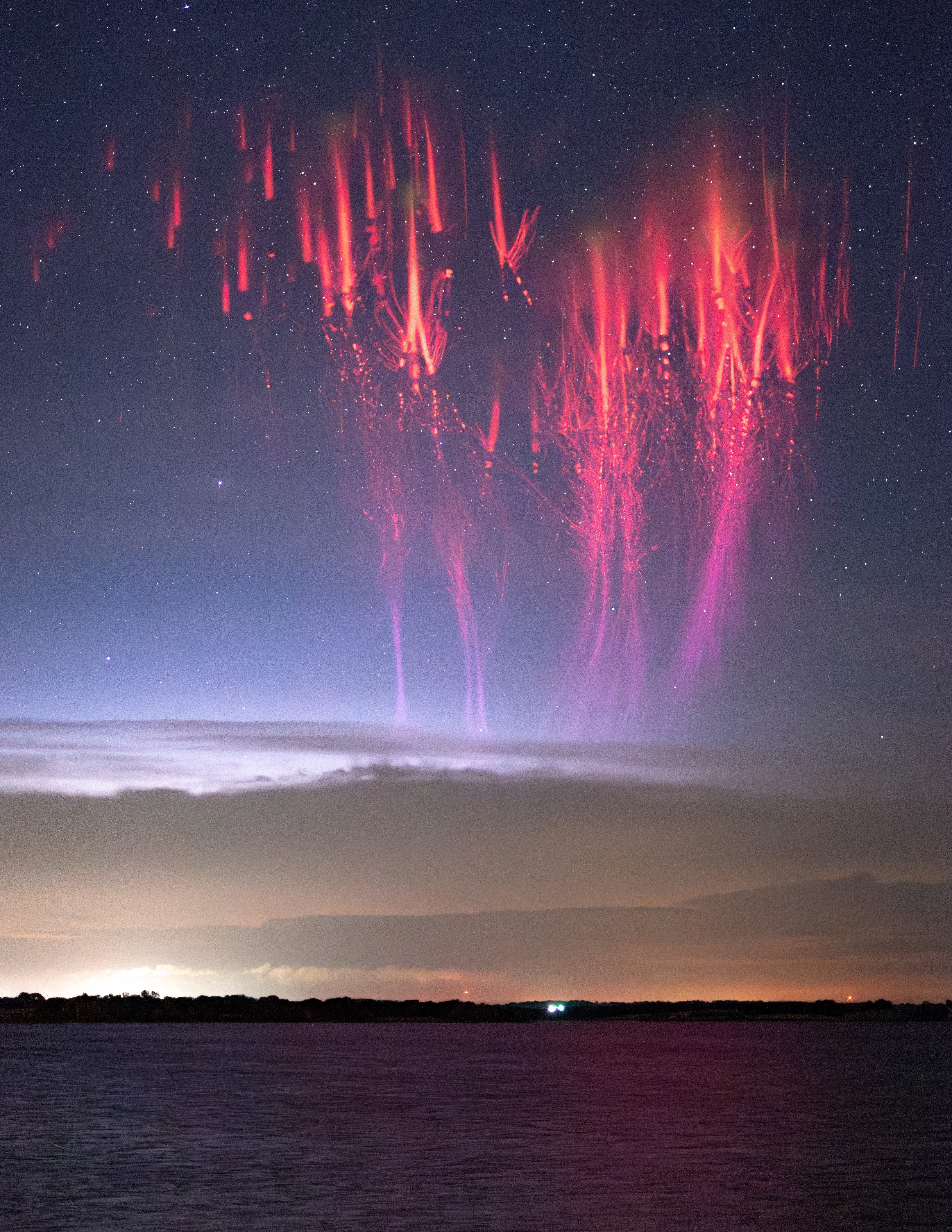 Los duendes de medusa tienen largos tentáculos de luz rojos. 