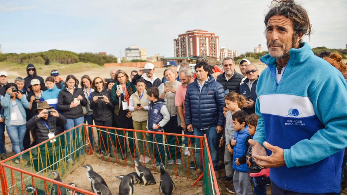 Foto prensa 