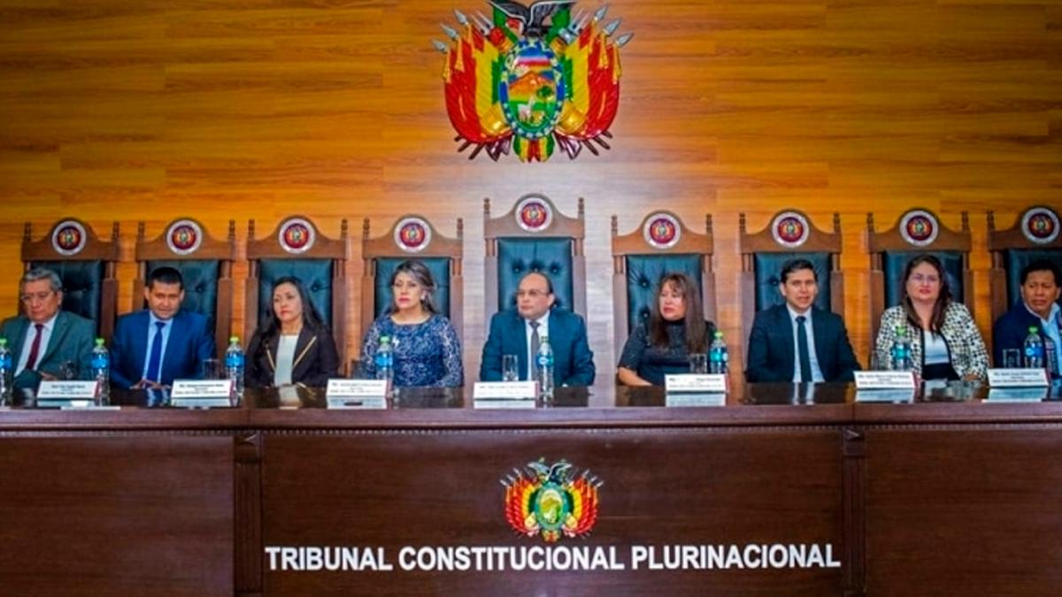 La sentencia estipula que la reeleccin indefinida no es un derecho humano Foto Facebook del Tribunal Constitucional Plurinacional de Bolivia