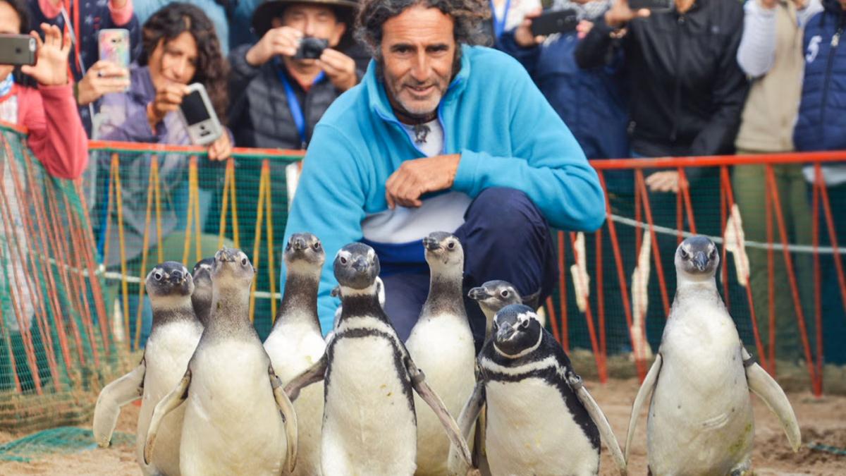 Sergio Rodrguez Heredia uno de los especialistas que recomienda no tomar contacto con la fauna silvestre Foto prensa 