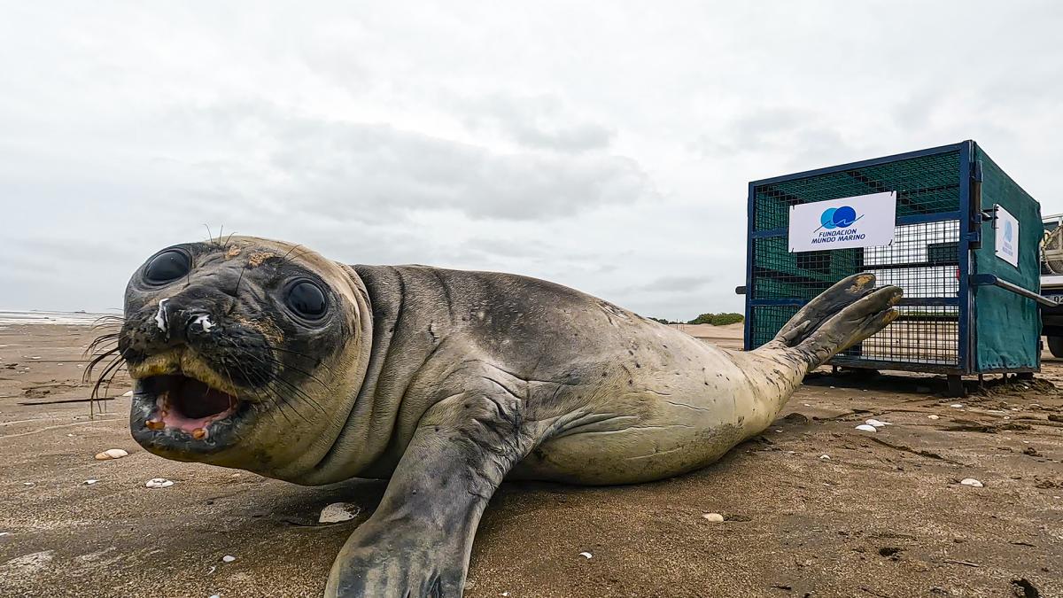 Foto Prensa Mundo Marino