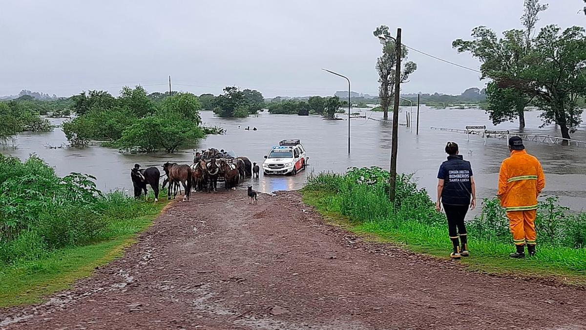  evacuarn a personas de las zonas ms afectadas por los anegamientos causados por las precipitaciones Foto Gentileza