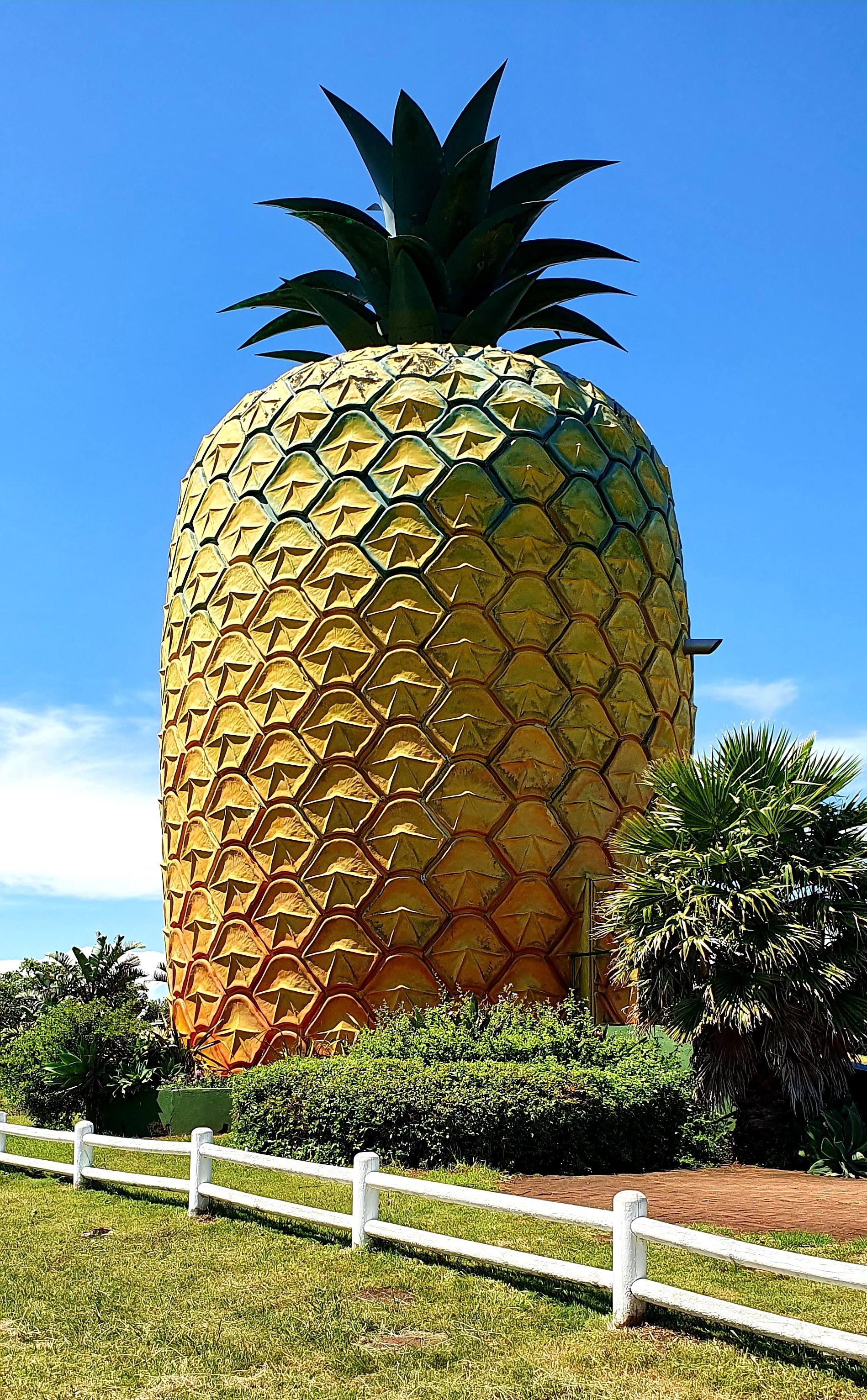 La Gran Piña.