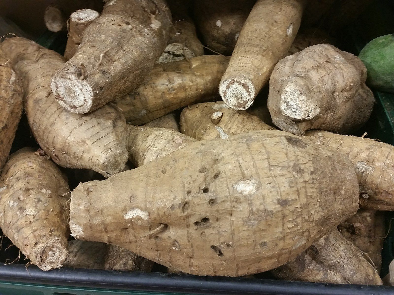 Una vez hice patatas fritas con raíces de kudzu y las encontré más pesadas y densas que las patatas fritas.