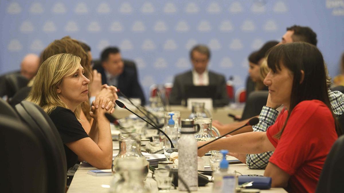 El plenario de comisiones intentar emitir dictamen esta tarde en la Cmara de Diputados Foto Alejandro Santa Cruz