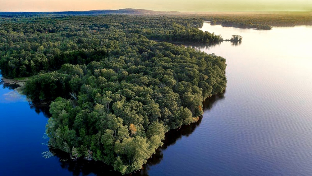 Actualmente la sequa solo ocurre una vez cada 50 aos pero con un calentamiento de cerca de 2 grados la Amazonia sufrira ese tipo de episodio cada 13 aos aproximadamente