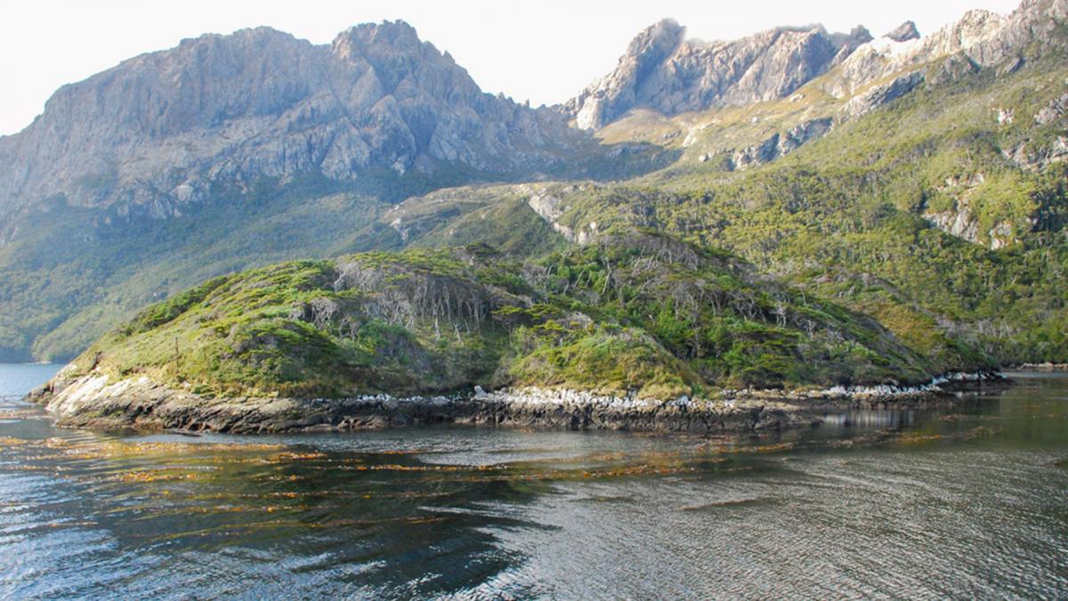 Argentina busca avanzar en la instalacin de una estacin multidisciplinaria de investigacin subantrtica en la Isla de los Estados Foto Archivo