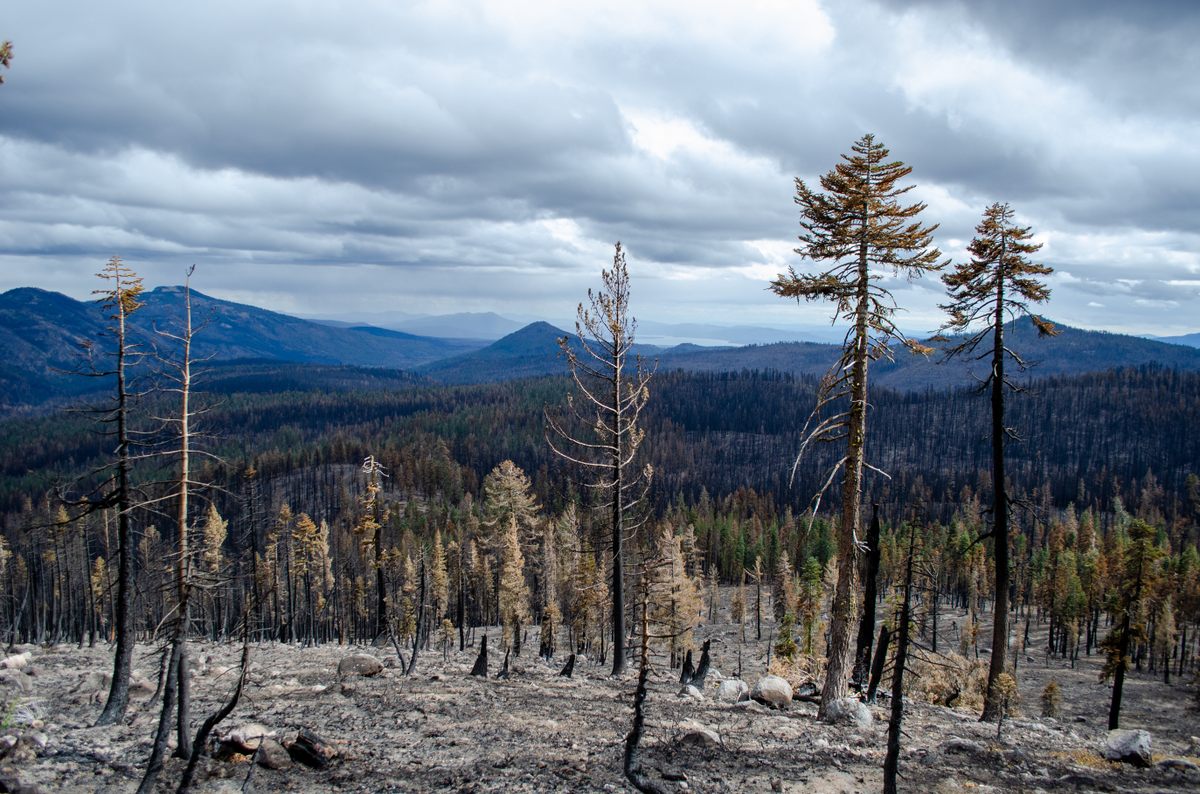 Una vista hacia el sur de Warner Valley muestra daños de gravedad moderada a alta causados ​​por el incendio Dixie de 2021.