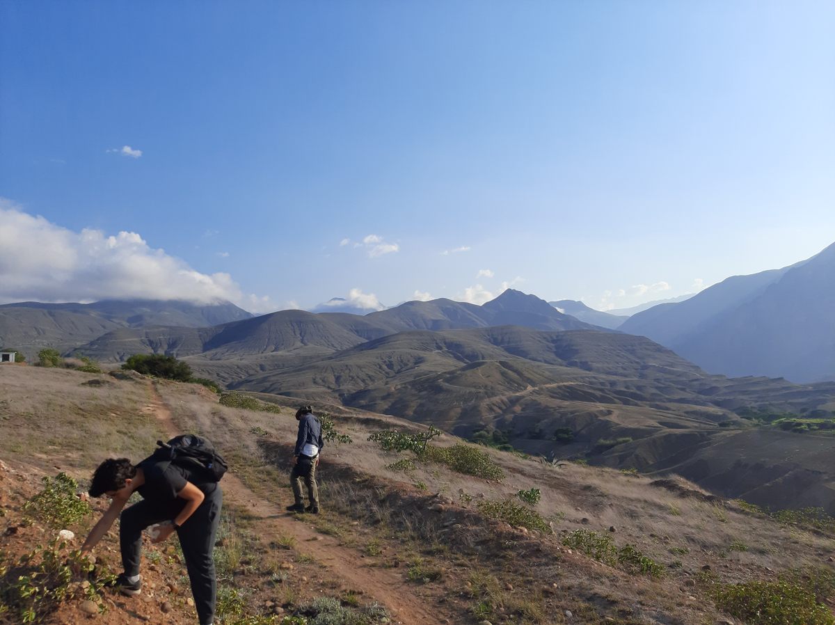 Los miembros del Grupo de Investigación Mygalomorphae examinan un área en los Andes en busca de biodiversidad, incluidas las numerosas especies de tarántulas de Ecuador.