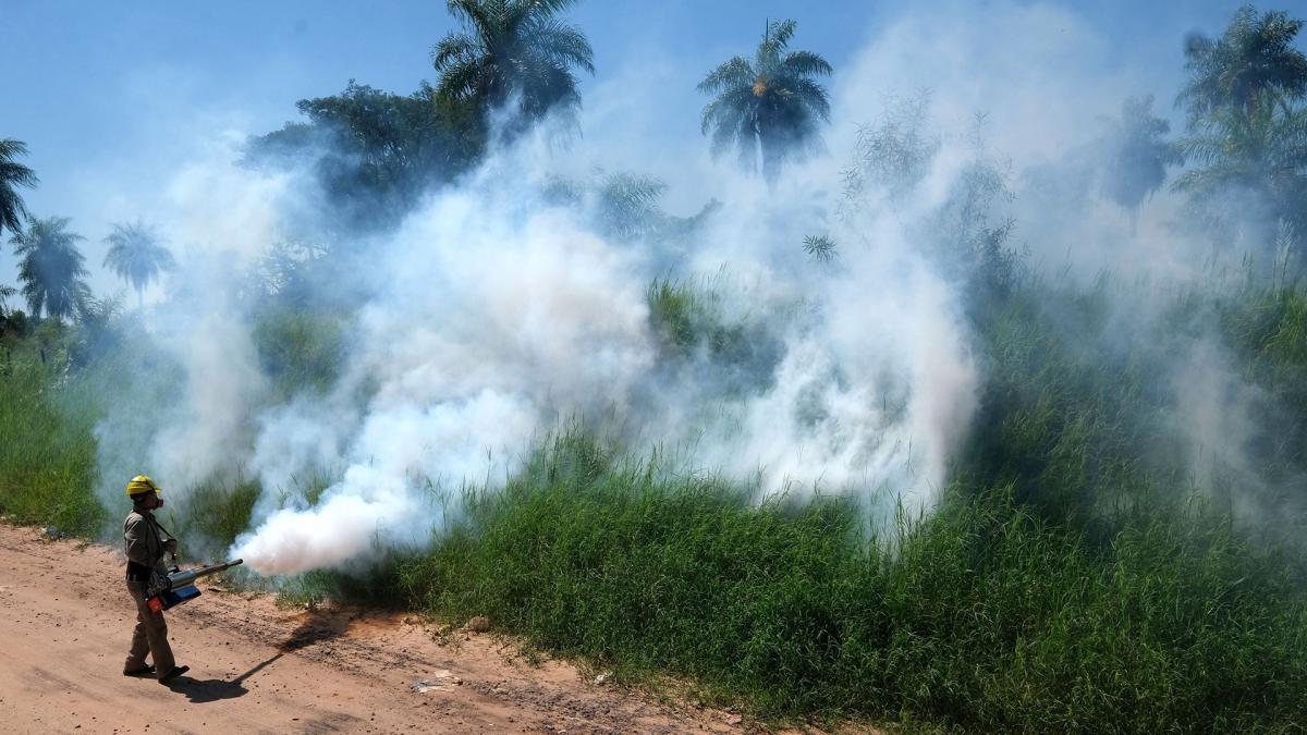 Durante 2023 en todo el pas se registraron 71 fallecidos con resultado positivo de dengue Foto Germn Pomar