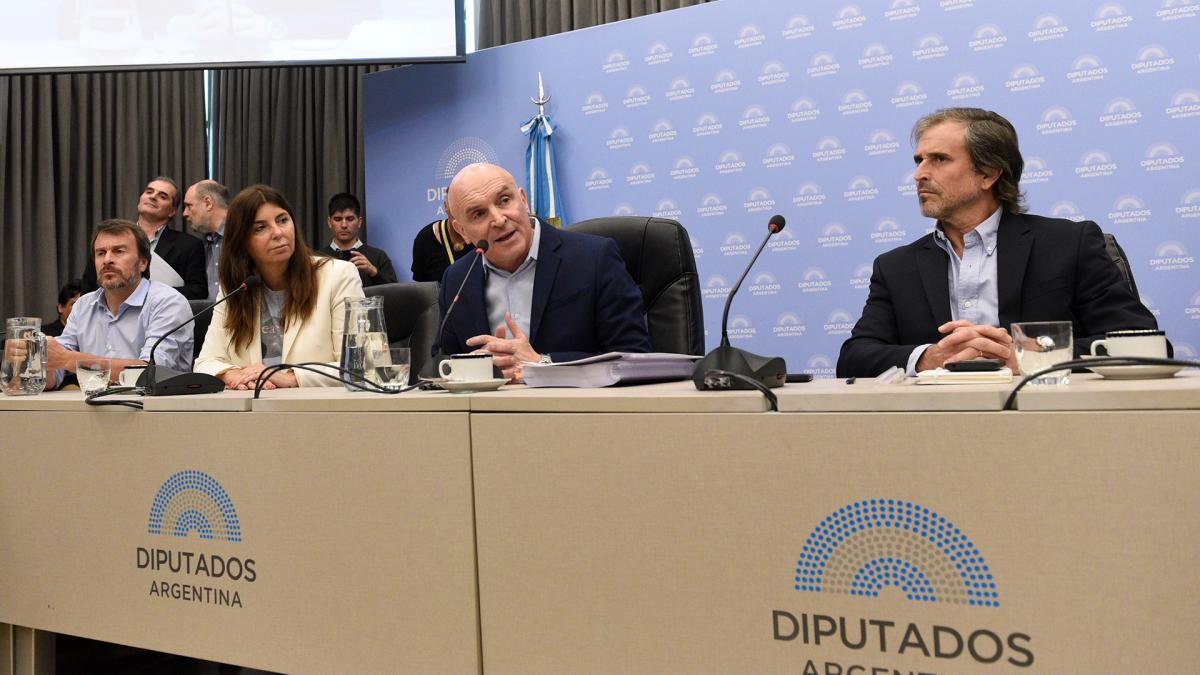 Jos Luis Espert designado presidente de la comisin de Presupuesto y Hacienda de Diputados Foto Prensa Diputados