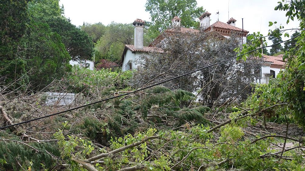 La tormenta provoc interrupciones en los servicios de electricidad y agua potable Foto Archivo