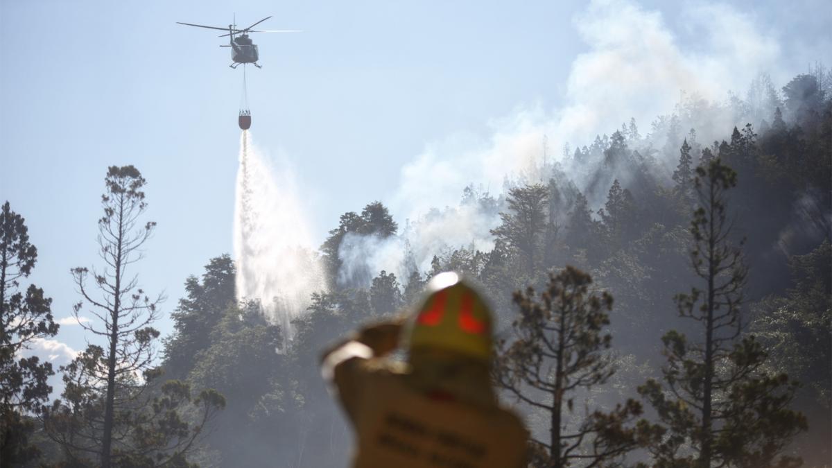 Foto Prensa