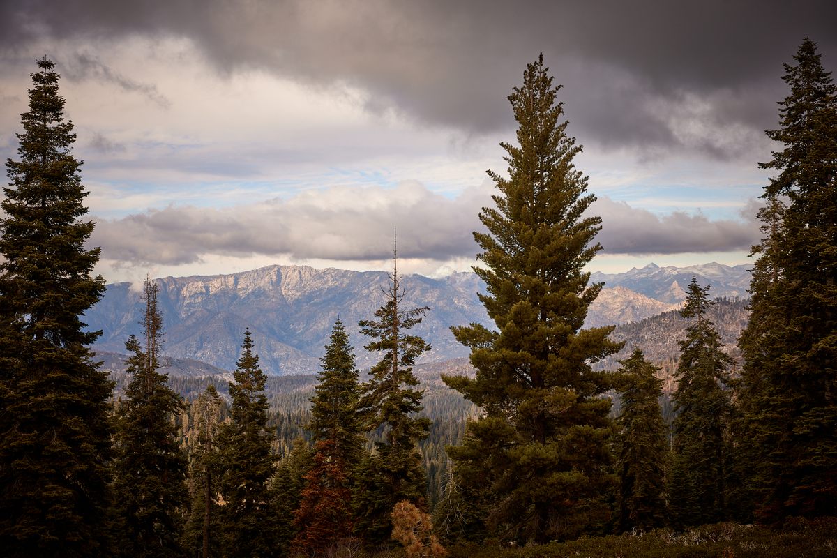 El Parque Nacional Sequoia también ofrece impresionantes vistas de las montañas circundantes.