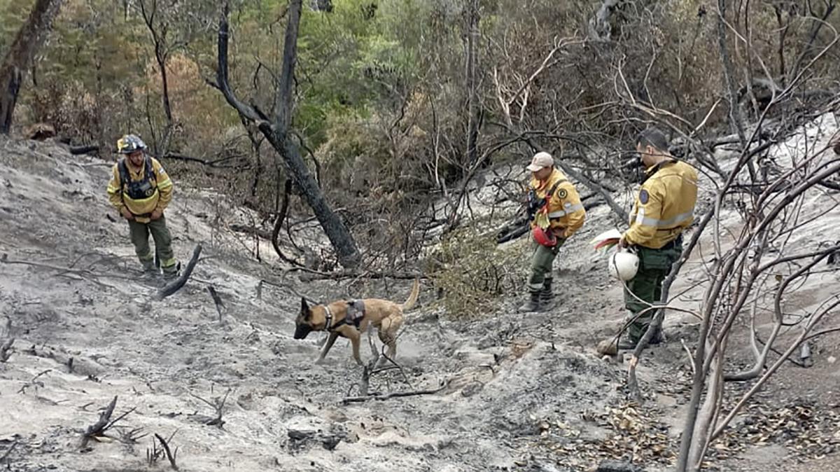 Los brigadistas continan la lucha contra el fuego Foto Prensa