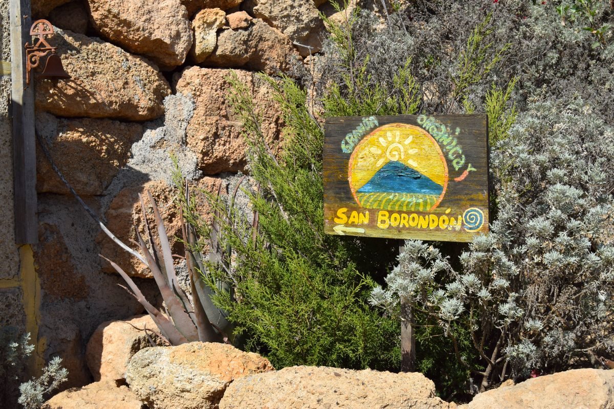 Un cartel marca la entrada a la Granja Orgánica San Borondón en la isla canaria de Tenerife.