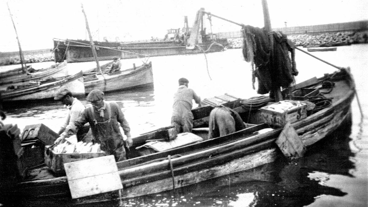 Puerto de Mar del Plata Foto archivo