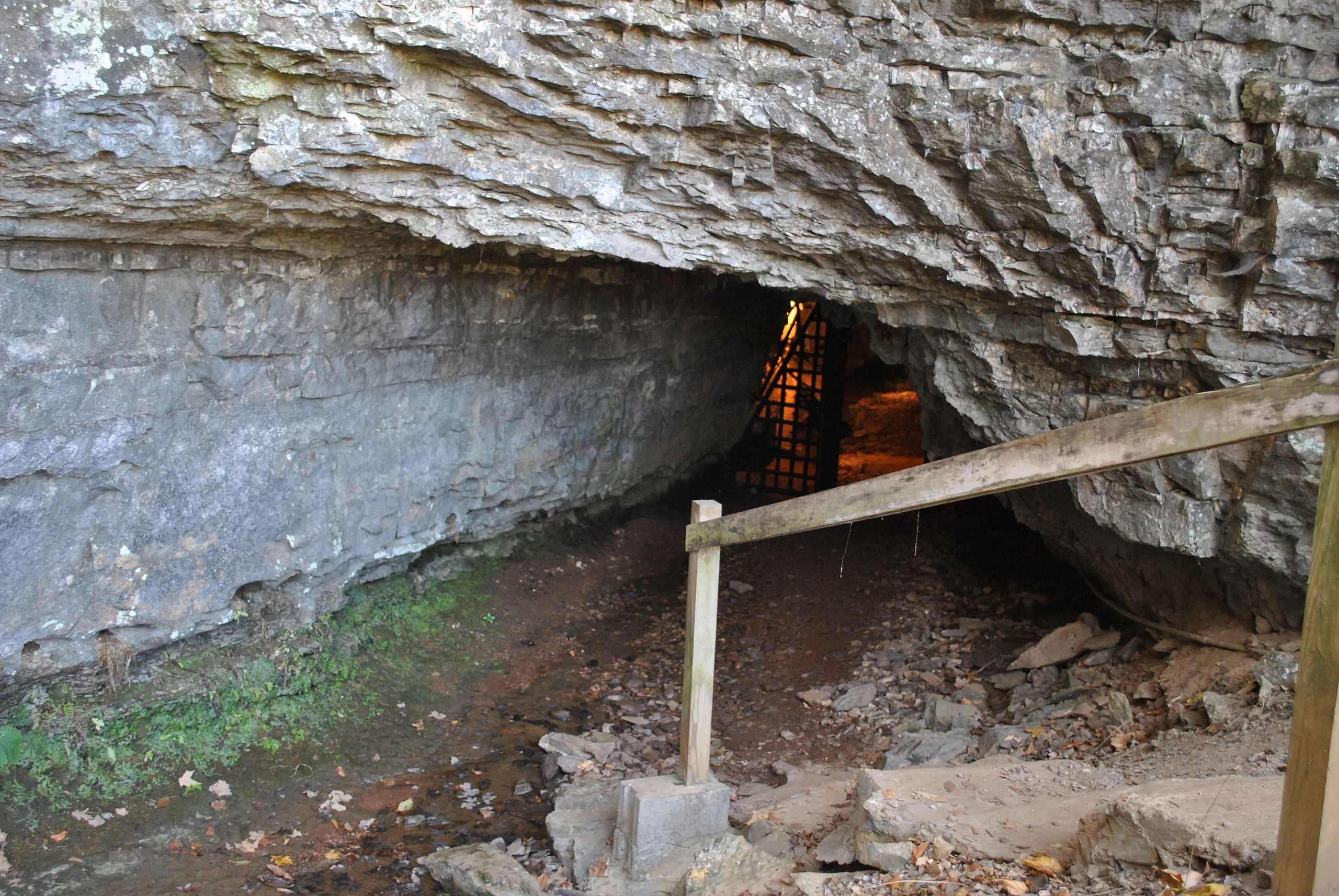 La cueva de Bell Witch en Adams, Tennessee.