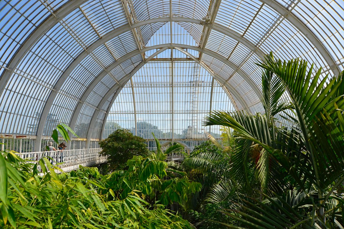 El techo de Kew Gardens fue diseñado de manera similar al casco de un barco.