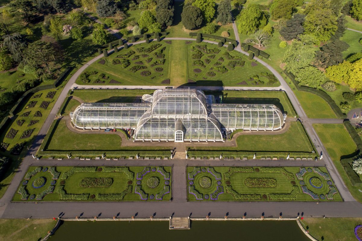 Hoy, Kew Gardens se enfrenta a un rompecabezas de sostenibilidad: mantener vivas plantas raras y extintas sin poner en peligro más vida vegetal en la Tierra.