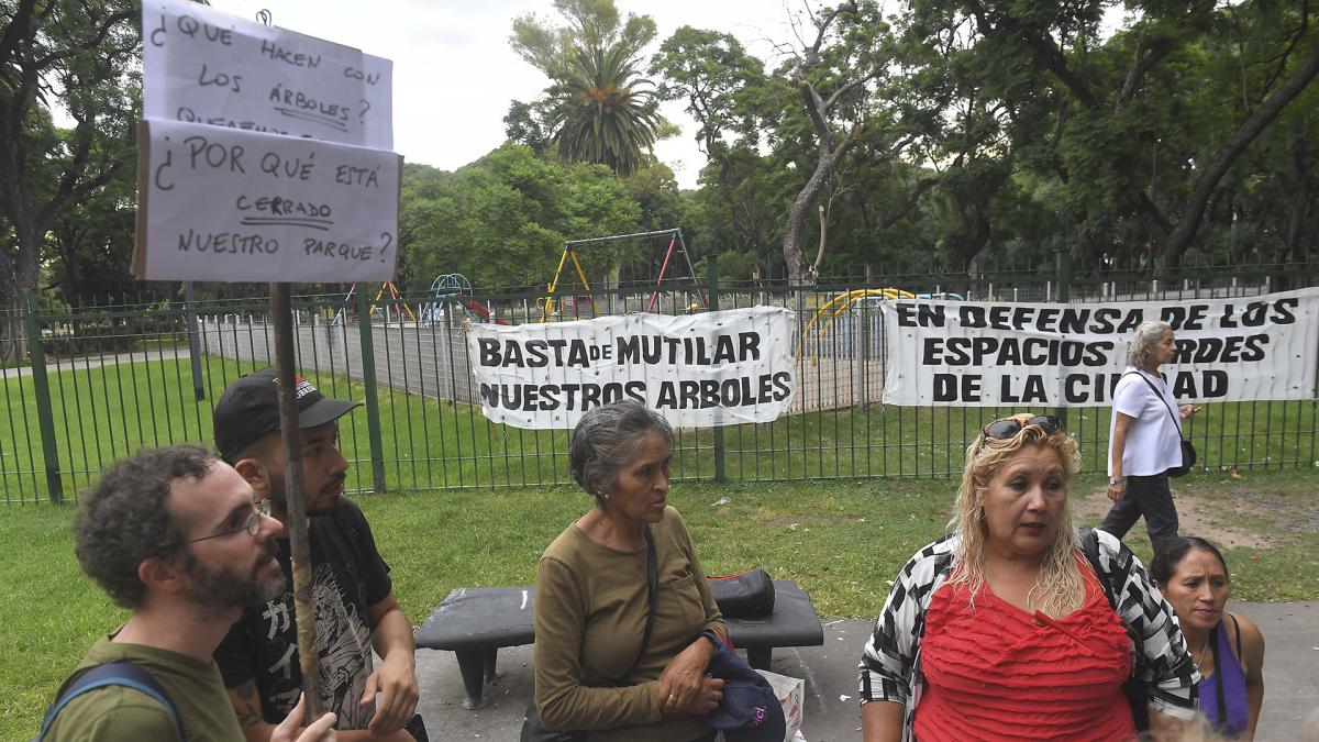 Algunos d elos ambientalistas manifestantes contra la tala Foto Fernando Gens 