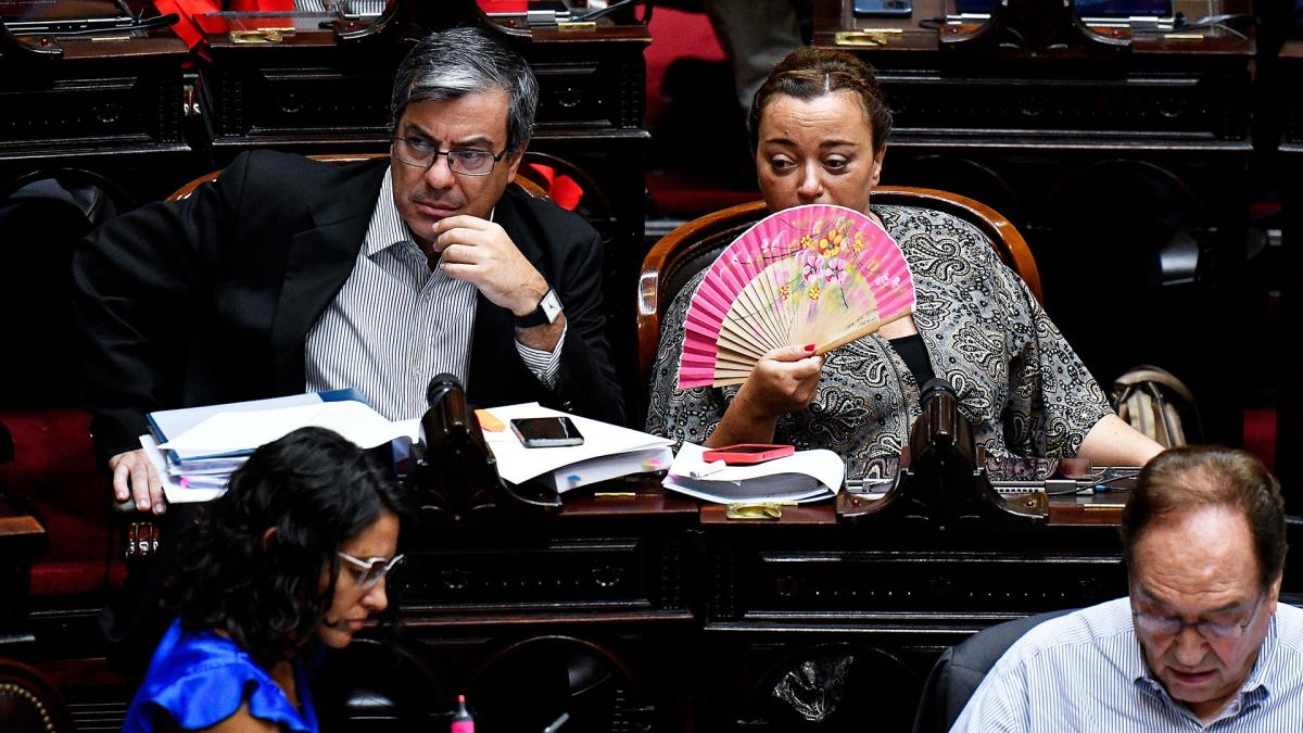 Para UxP la distribucin de representaciones polticas en la Bicameral es de cuatro integrantes oficialistas y uno para cada una de las restantes fuerzas Foto Eliana Obregn