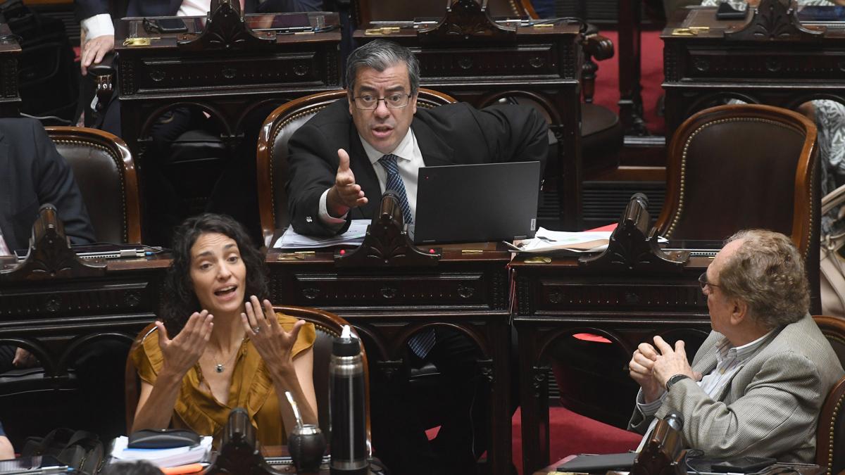 Martnez La mejor manera de repudiar la ltima agresin de Milei al Congreso es rechazando el mega DNU 702023 Foto Daniel Dabove