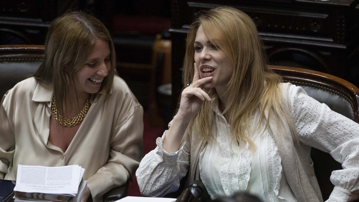 Cuando nos presentamos en la puerta del Congreso estaban diciendo que estbamos por la lista de Lilia Lemoine Foto Eliana Obregn