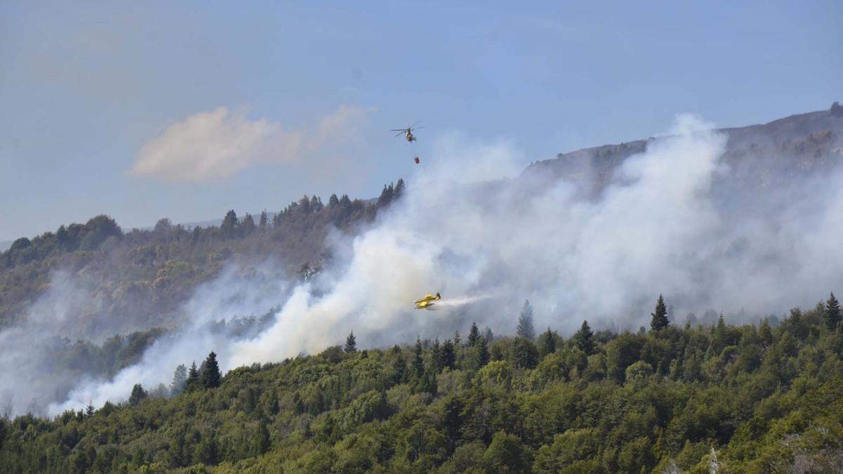 El incendio en Parque Nacional Los Alerces sigue activo Foto Prensa