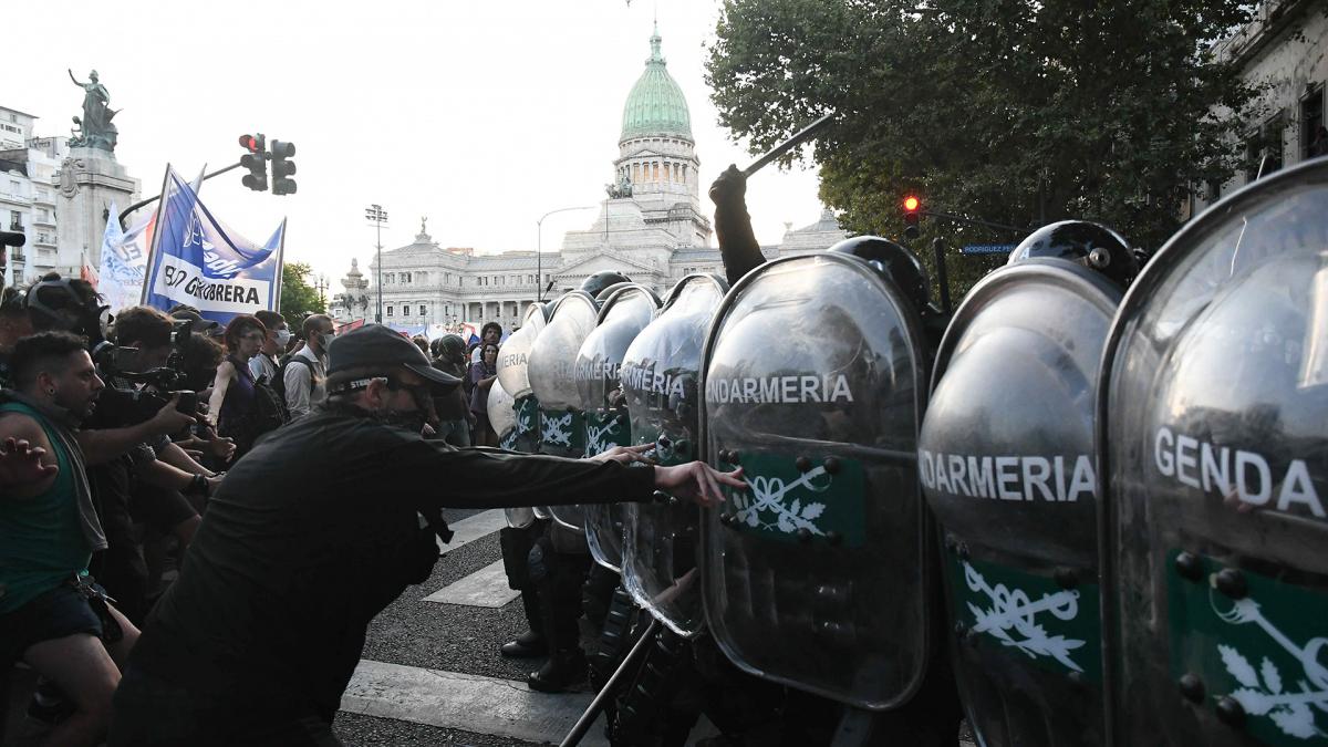 Protesta contra el DNU en Congreso Foto Alfredo Luna 