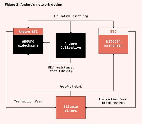 Esquema de Maratón "Anduro" Diseño de redes, de Litepaper. (Anduro)