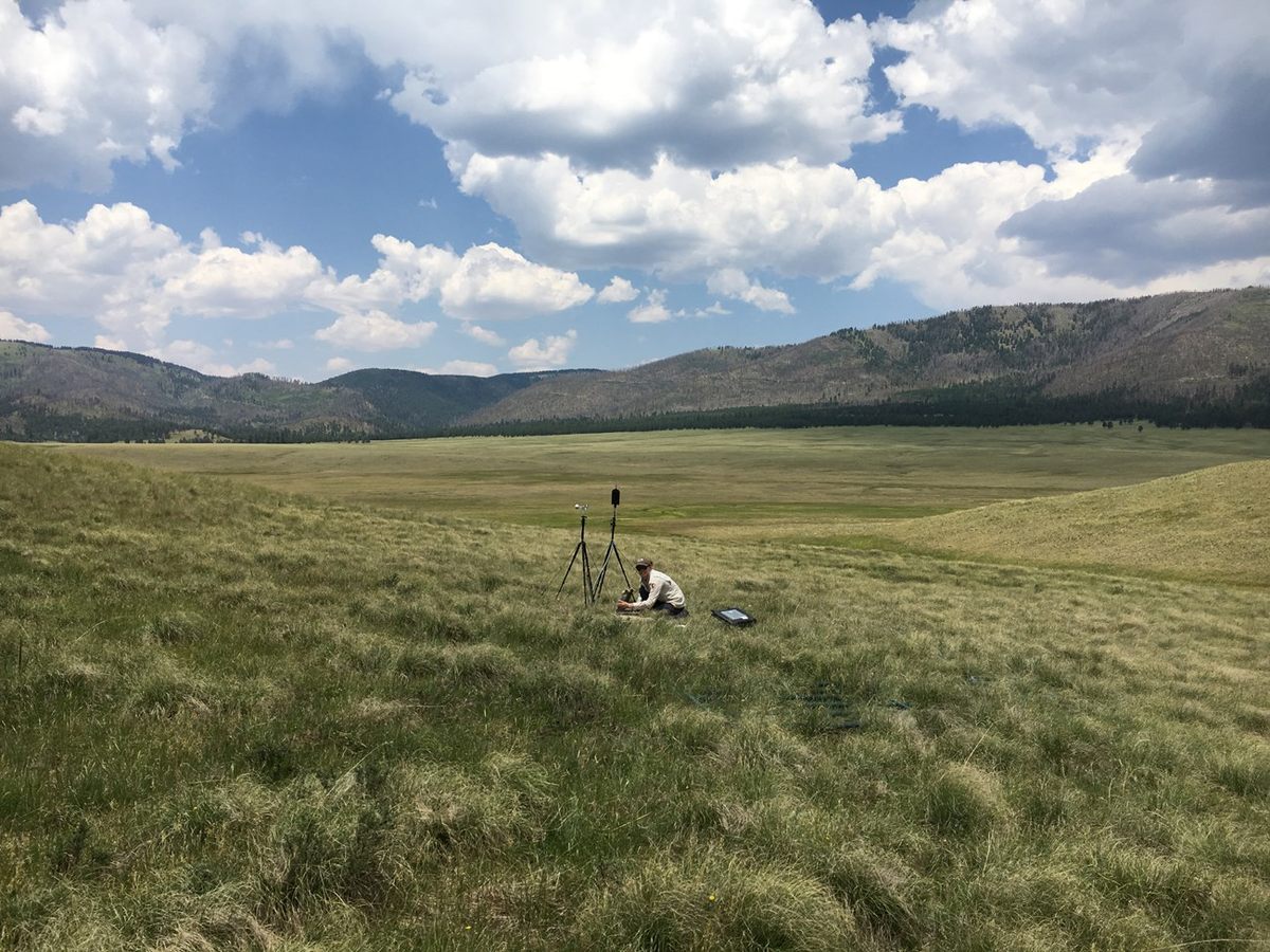 Un especialista en acústica instala equipos de grabación de audio en la Reserva Nacional Valles Caldera en Nuevo México como parte de un estudio para comprender los paisajes sonoros, incluso durante los eclipses.